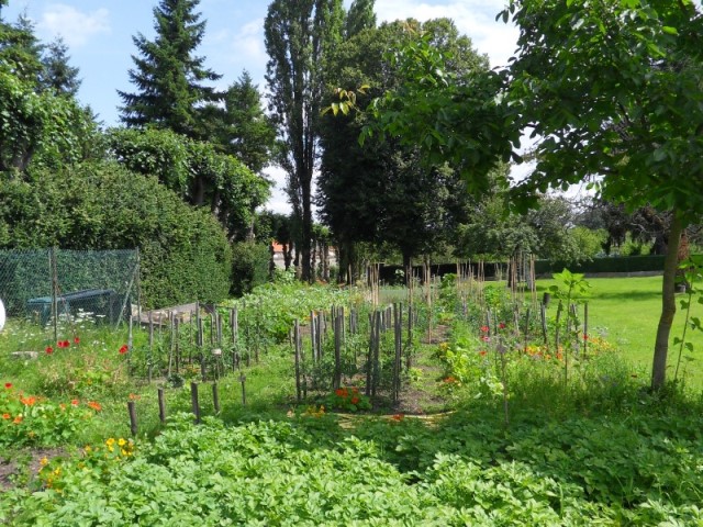 Le potager