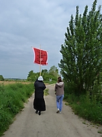 2016_5